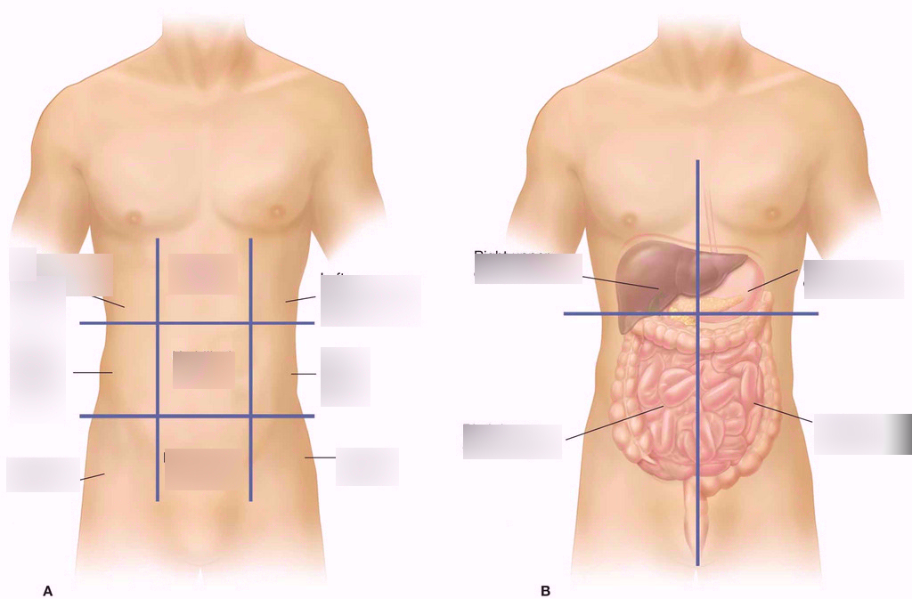 Can Appendicitis cause Back Pain - Wellness For Life Blog