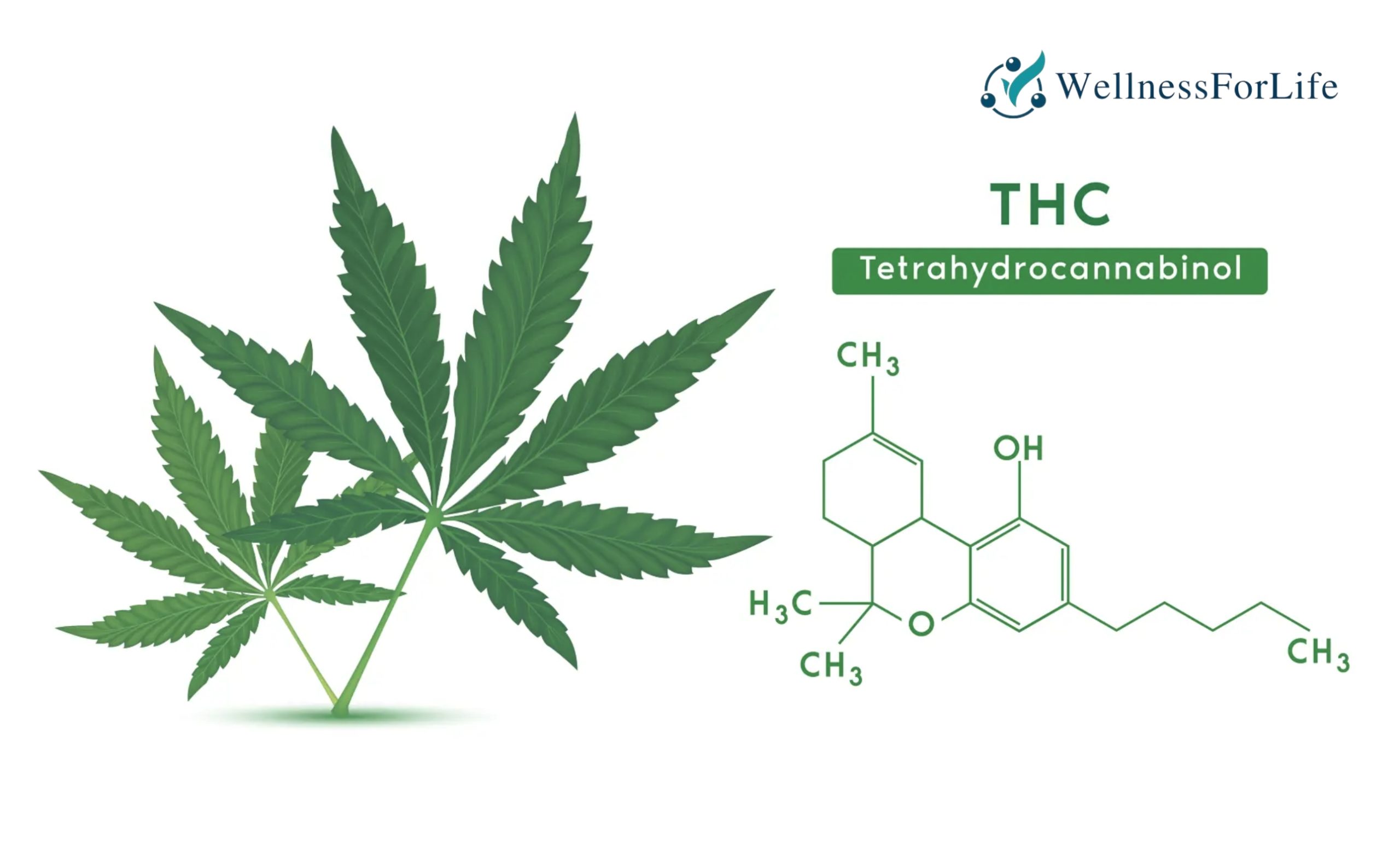 Is 500mg of edible THC is Strong