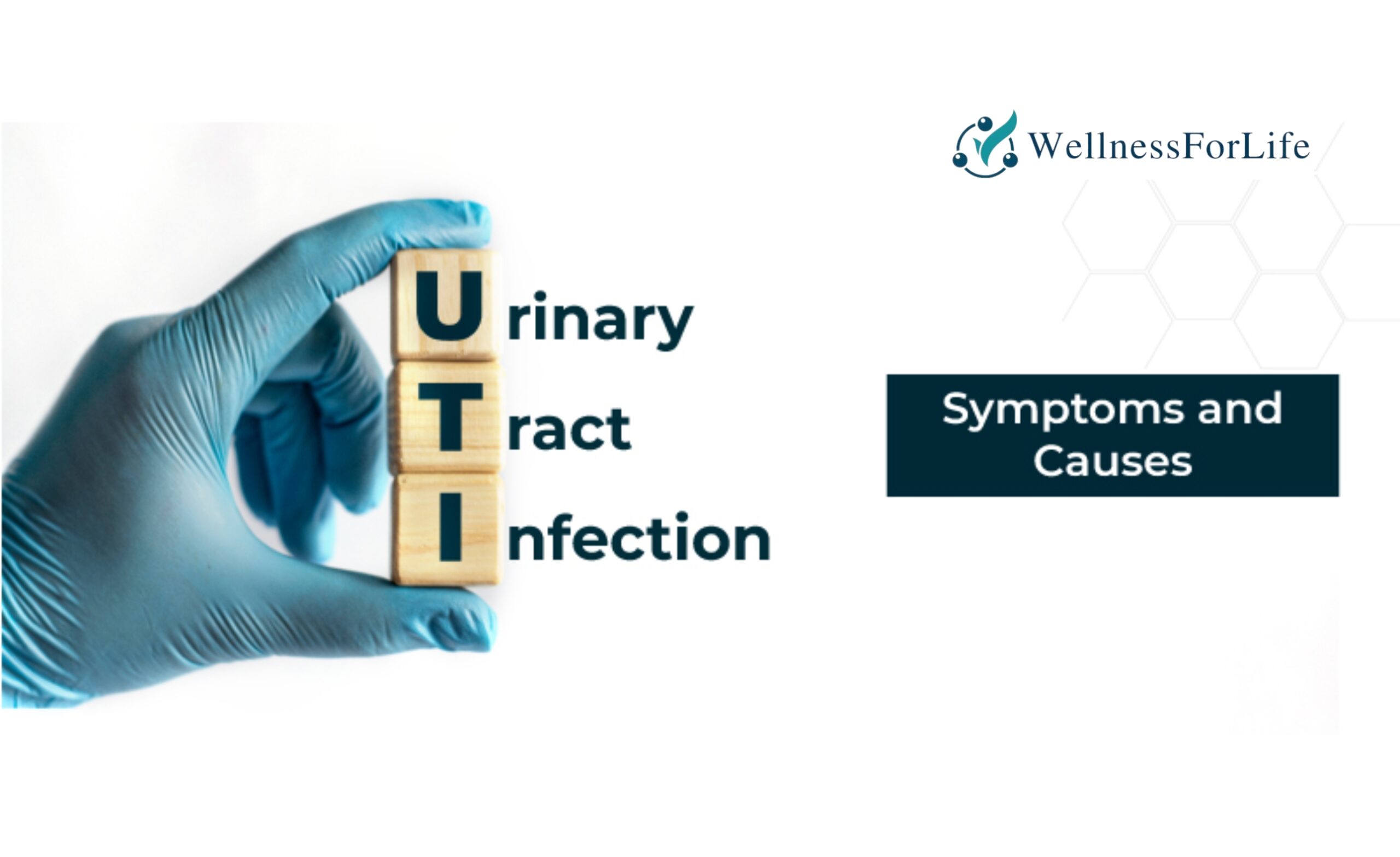 Amoxicillin for UTI Wellness For LIfe BLog